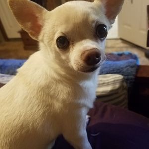 Meet your Posher, Janell